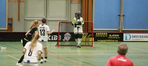 Foto: Kenneth Fridström.