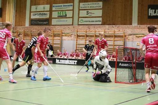Foto: Kenneth Fridström.