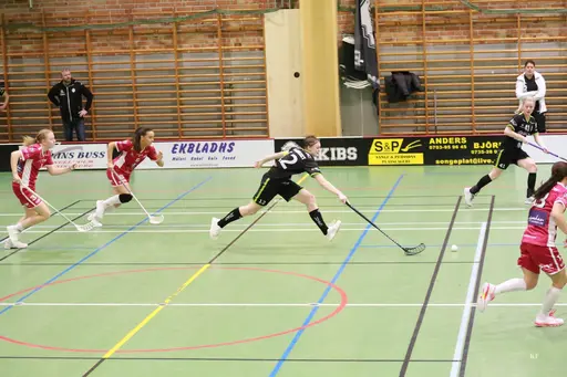 Foto: Kenneth Fridström.