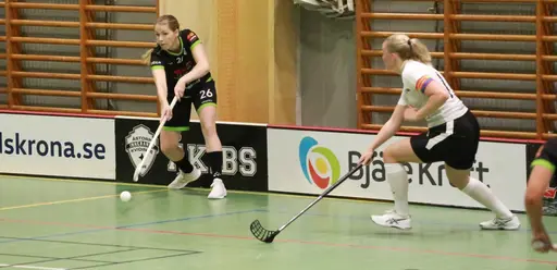 Foto: Kenneth Fridström.