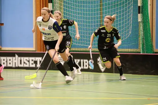 Foto: Kenneth Fridström