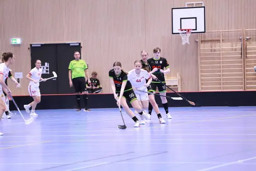 Foto Kenneth Fridström.