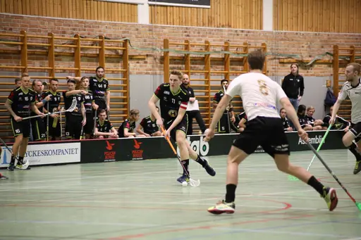Foto: Kenneth Fridström