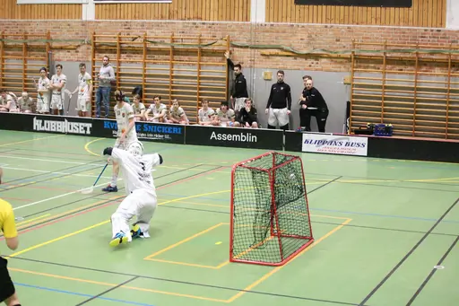 Foto: Kenneth Fridström