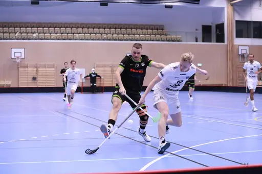 Foto: Kenneth Fridström.