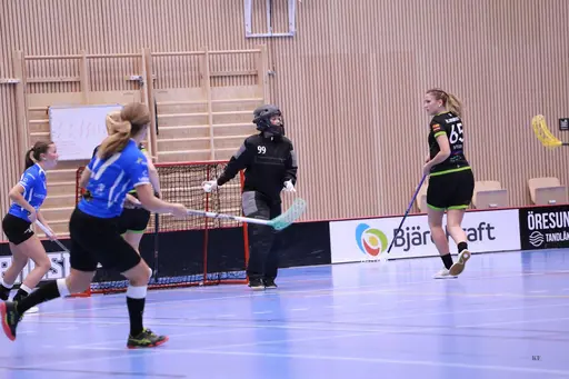 Foto: Kenneth Fridström
