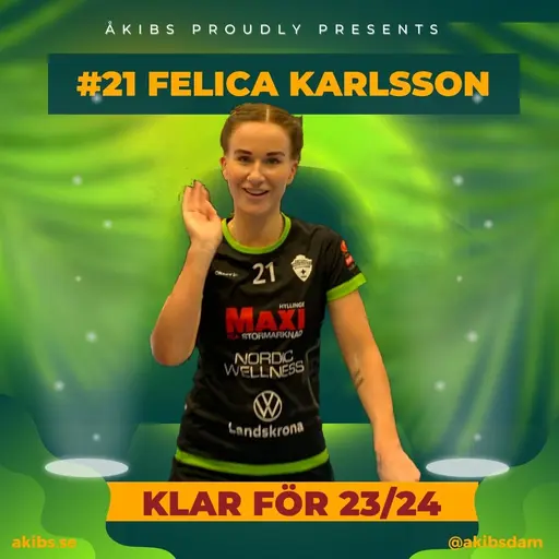 Nästa på tur, Mv Maya Mäkelä