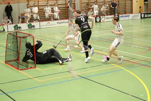 Foto: Kenneth Fridström.