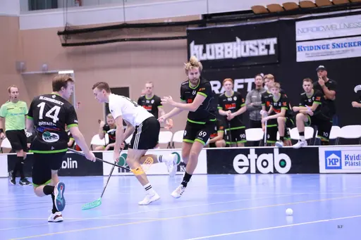 Foto: Kenneth Fridström.