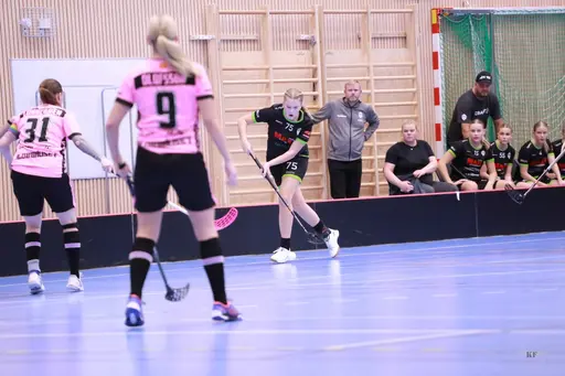 Foto: Kenneth Fridström.