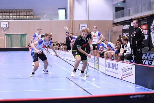 Foto: Kenneth Fridström.