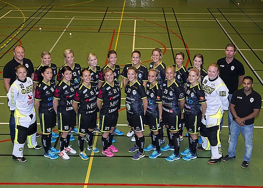 Final laget Å/K IBS Damer