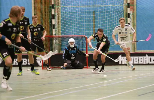 Foto: Kenneth Fridström