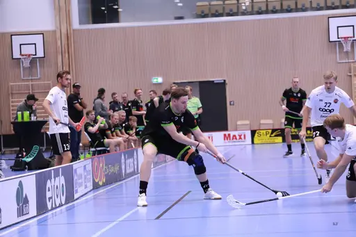 Foto: Kenneth Fridström.
