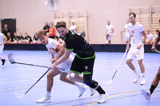 Foto: Kenneth Fridström