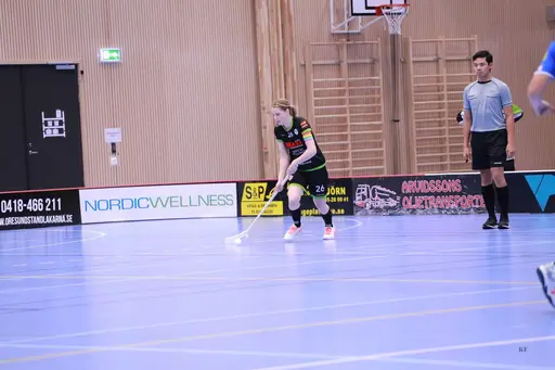 Foto: Kenneth Fridström