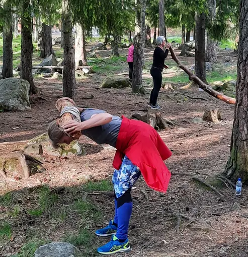 Skogsfys och Stavgång/jogg/styrka