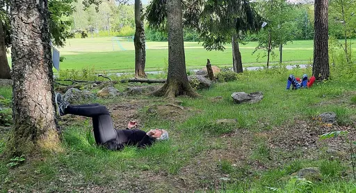 Skogsfys och Stavgång/jogg/styrka