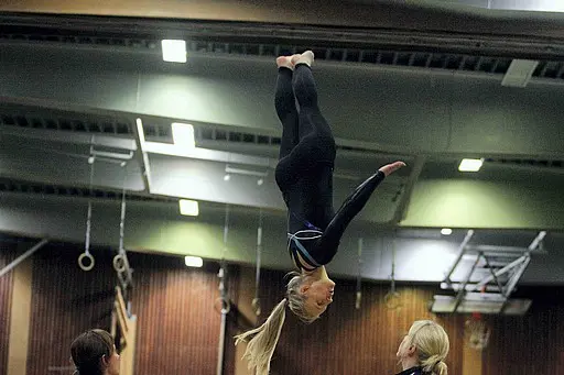 Bofors Gymnastikförening är en gymnastikförening i Karlskoga som bedrivit gymnastik åt alla sedan år 1909. Föreningen erbjuder följande; - Familjegympa - Bamsegympa - GympaKidz - Freerunning - Truppgy