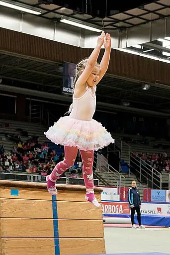 Bofors Gymnastikförening är en gymnastikförening i Karlskoga som bedrivit gymnastik åt alla sedan år 1909. Föreningen erbjuder följande; - Familjegympa - Bamsegympa - GympaKidz - Freerunning - Truppgy