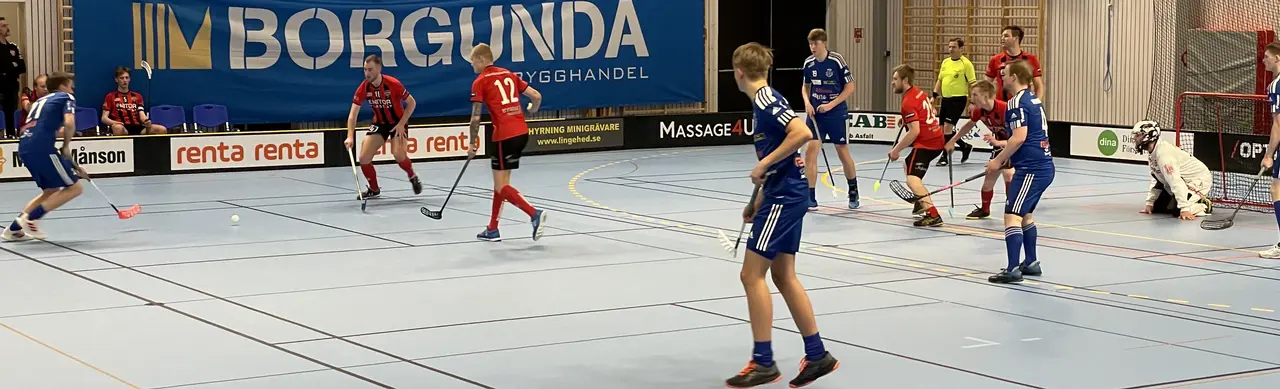 Tibro IBK vs Södra Vings IF
