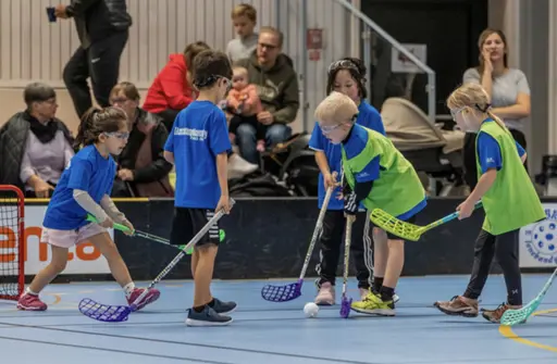 fotografen: @shauto.se