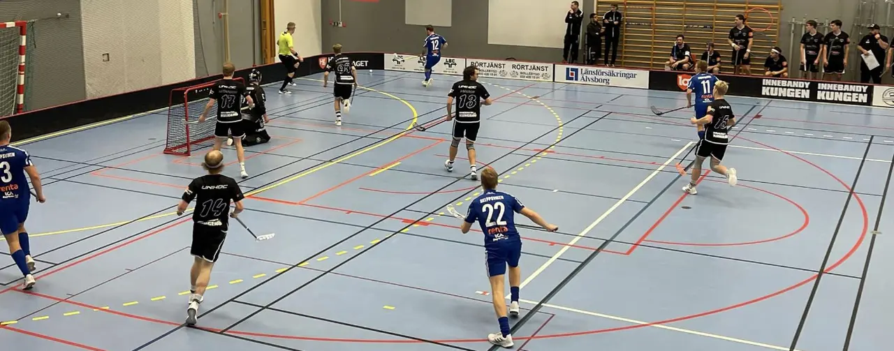 Tibro IBK vs Borås IBF