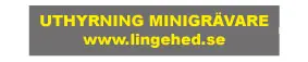 LINGUT