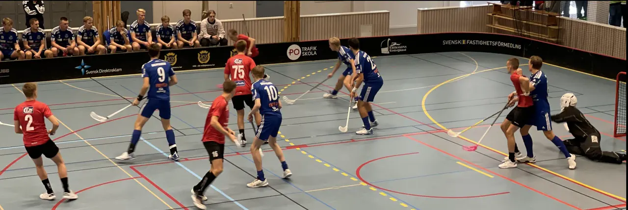 Tibro IBK vs Skövde IBF