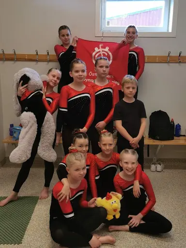 ÖGFs tävlingsgrupper 2022