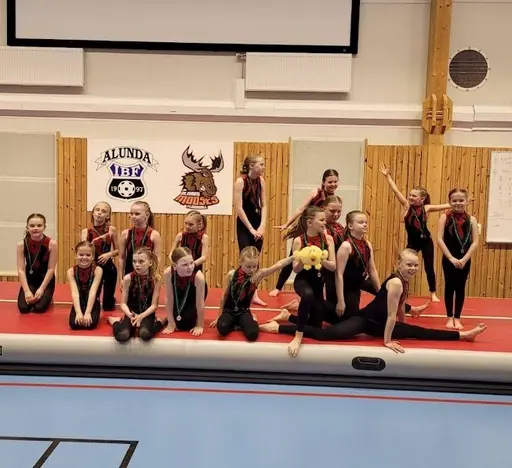 ÖGFs tävlingsgrupper 2022