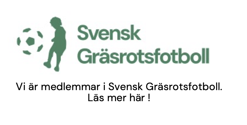 Svensk Gräsrotsfotboll