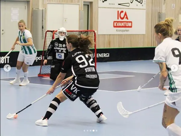 Bild tagen från @ibfdalendam