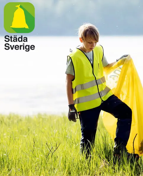Foto: Städa Sverige