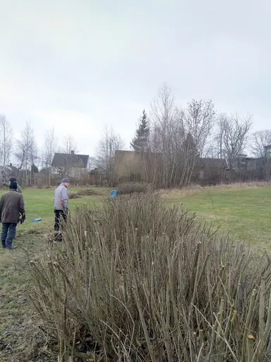 Här ser vi några Veteraner i arbete ihop med vaktmästaren