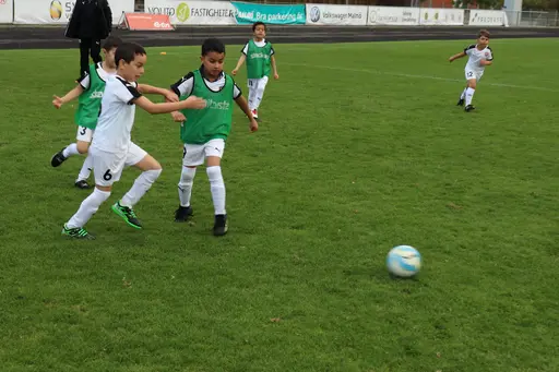 Maskotar  FC Rosengård - Prespa Birlik