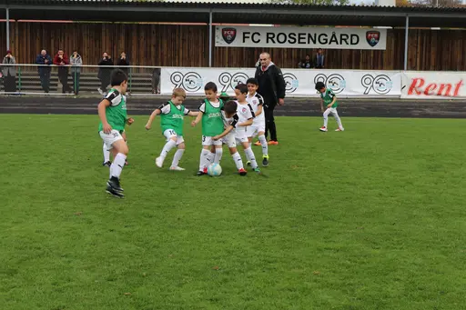 Maskotar  FC Rosengård - Prespa Birlik
