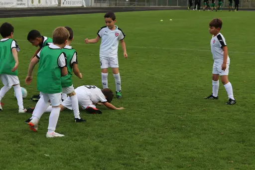 Maskotar  FC Rosengård - Prespa Birlik