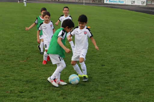 Maskotar  FC Rosengård - Prespa Birlik