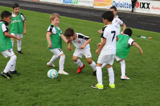 Maskotar  FC Rosengård - Prespa Birlik
