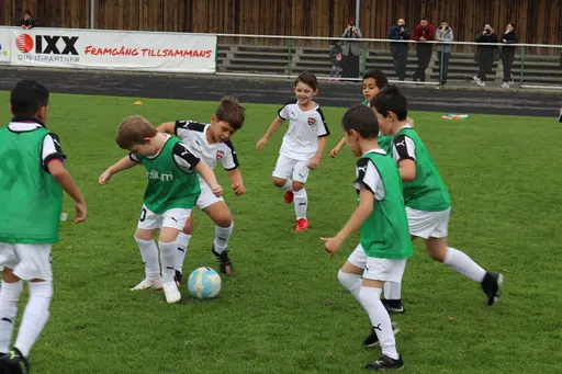 Maskotar  FC Rosengård - Prespa Birlik