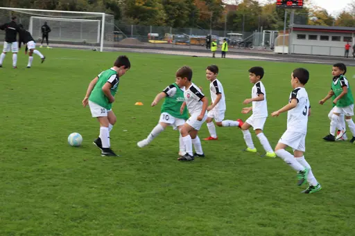 Maskotar  FC Rosengård - Prespa Birlik