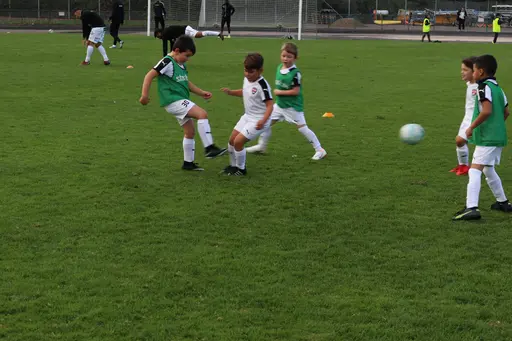 Maskotar  FC Rosengård - Prespa Birlik