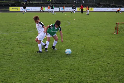 Maskotar  FC Rosengård - Prespa Birlik