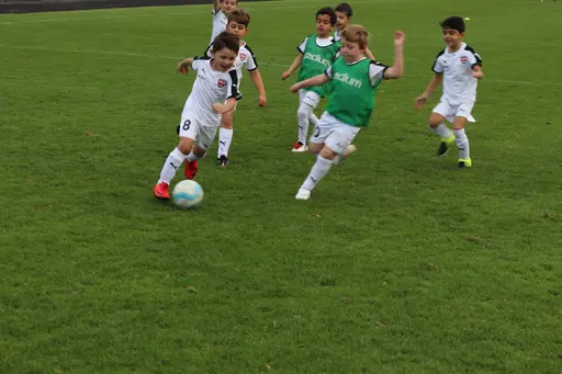 Maskotar  FC Rosengård - Prespa Birlik