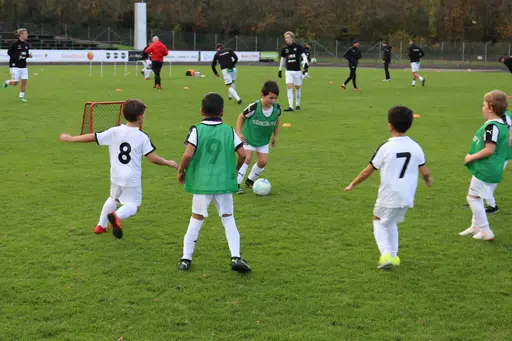 Maskotar  FC Rosengård - Prespa Birlik