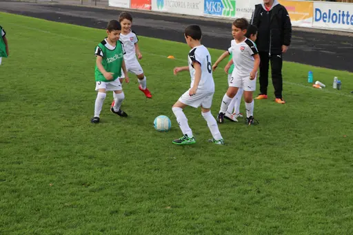 Maskotar  FC Rosengård - Prespa Birlik
