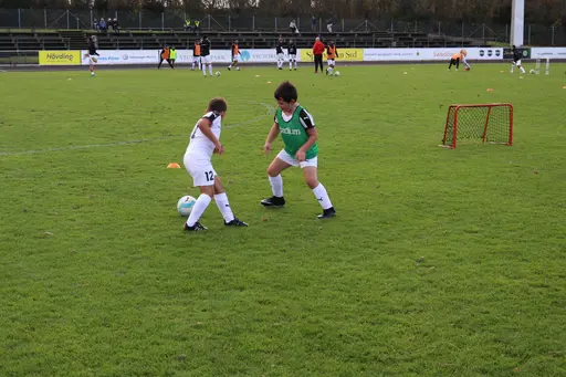 Maskotar  FC Rosengård - Prespa Birlik