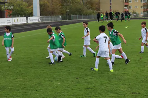 Maskotar  FC Rosengård - Prespa Birlik