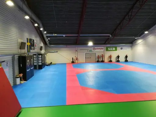 Nytt ventilerat golv ligger under vår matta. Här har vi alla möjligheter att bli duktiga på Taekwondo.